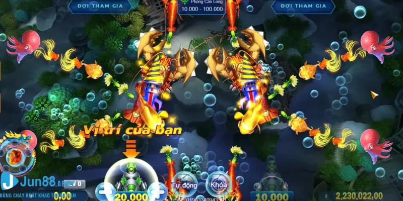 Quan sát và tập trung săn cá lớn