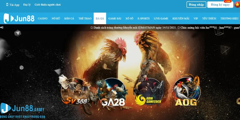 đá gà online Jun88